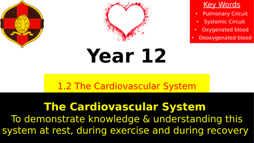 OCR A LEVEL PE- The Cardiovascular System