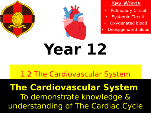 OCR A LEVEL PE- The Conduction System