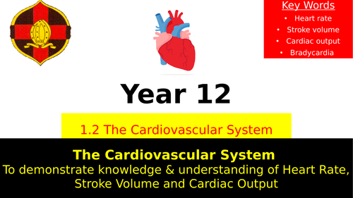 OCR A LEVEL PE- Heart Rate, Stroke Volume, Cardiac Output