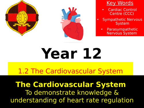 OCR A LEVEL PE- Heart Rate Regulation