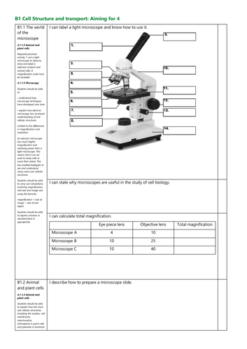 B1 Cell Structure and transport Grade 4 Revision Checklist AQA New Spec ...