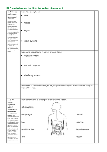 B3 Organisation and the digestive system G4 Revision Checklist AQA New Spec