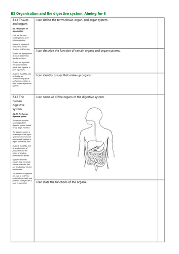 B3 Organisation and the digestive system Grade 6 Revision Checklist AQA New Spec