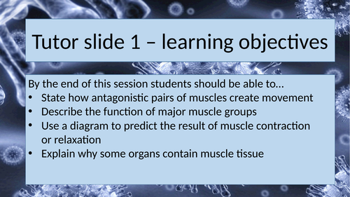 Movement - muscles AQA Activate KS3 Year 7 whole lesson 8.1.4 suitable for non specialists