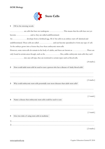 GCSE Biology (9-1) - Stem Cells - Worksheet & Video