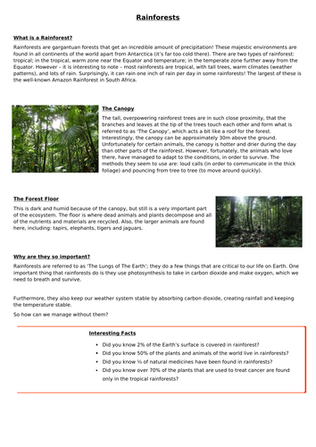 Rainforest WAGOLL Information Text