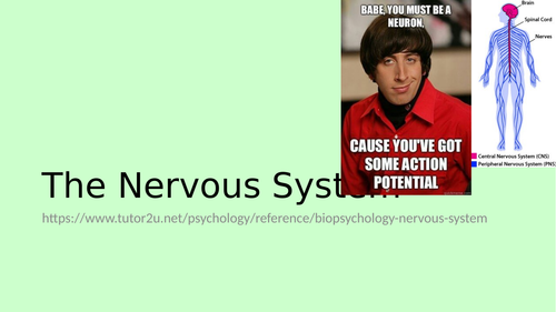 Biopsychology - The Nervous System