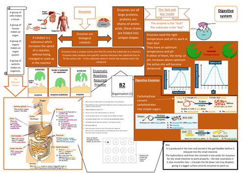 Aqa Gcse Biology 9 1 B2 Double And Triple Science Revision Summary Sheets Teaching Resources 5465