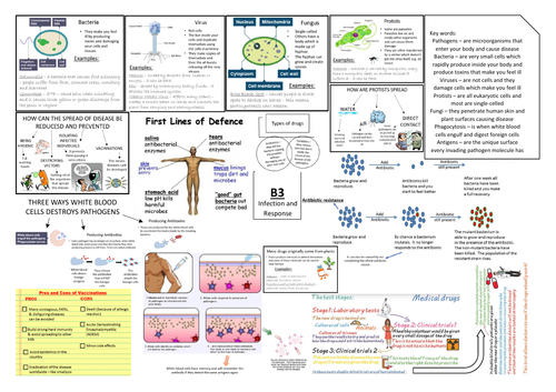 AQA GCSE Biology (9-1) B3 Double Science Revision Summary Sheets