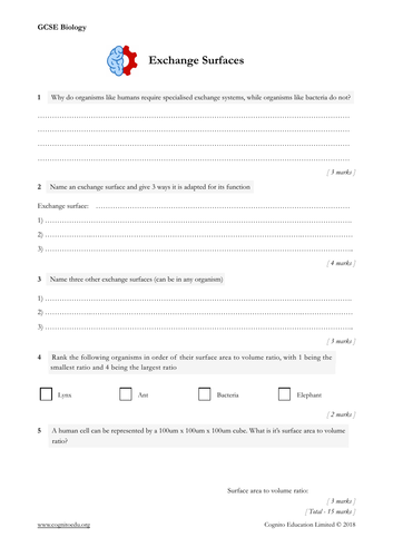 GCSE Biology (9-1) - Exchange Surfaces - Worksheet & video