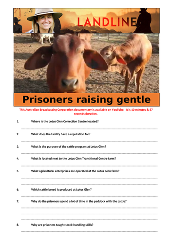 Prisoners raising gentle cattle