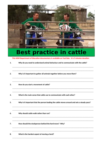 Best practice in cattle handling