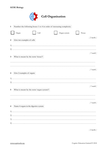 GCSE Biology (9-1) - Cell Organisation - Worksheet