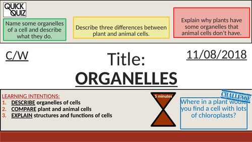 KS3 - Cells - Cell Organelles and their Functions | Teaching Resources