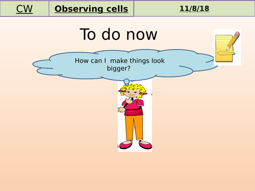 Year 7 Activate 1 Biology- Cells- Low ability