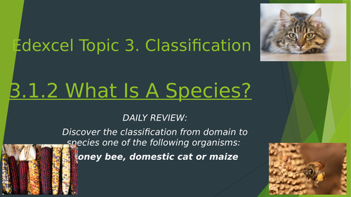 What Is A Species?