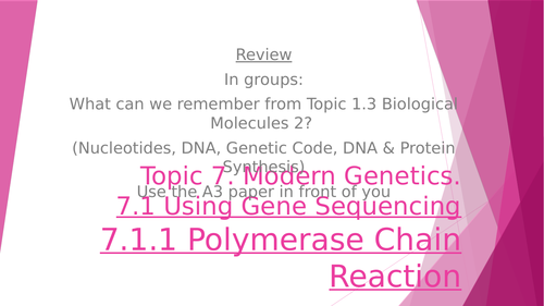 Polymerase Chain Reaction - PCR