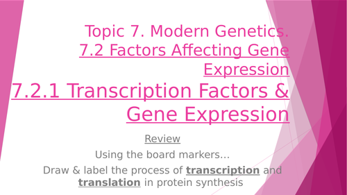 Transcription Factors & Gene Sequencing