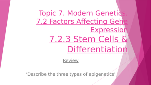 Stem Cells & Differentiation