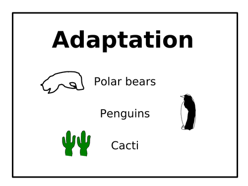 Adaptation - PowerPoint