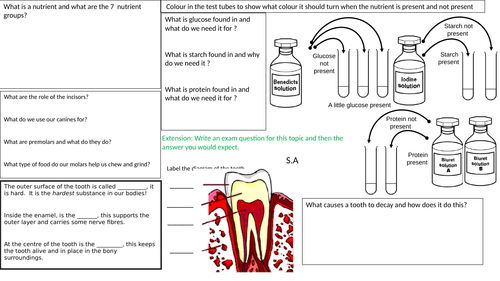 Food and Digestion Revision Sheet KS3