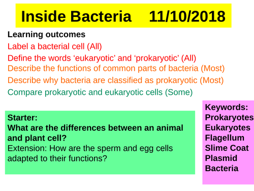 Inside  Bacteria  Edexcel CB1 SB1