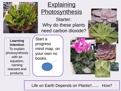 Explaining Photosynthesis Outstanding Lesson AQA GCSE Biology New 9-1 Bioenergetics