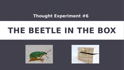 Thought Experiment #6: The Beetle in the Box