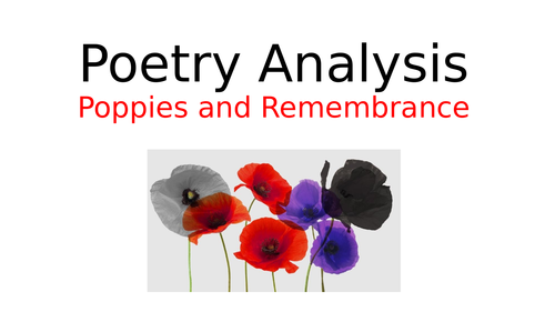 Remembrance Day- Poetry Analysis
