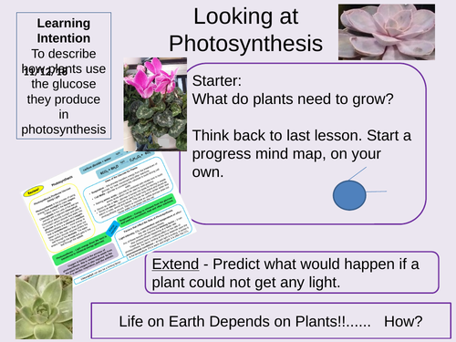 Photosynthesis and the Uses of Glucose Outstanding Lesson AQA GCSE Biology New 9-1 Bioenergetics