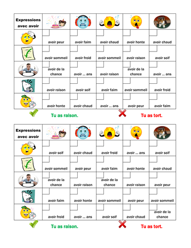 Expressions avec avoir French Verb Grid Vocabulary Activity