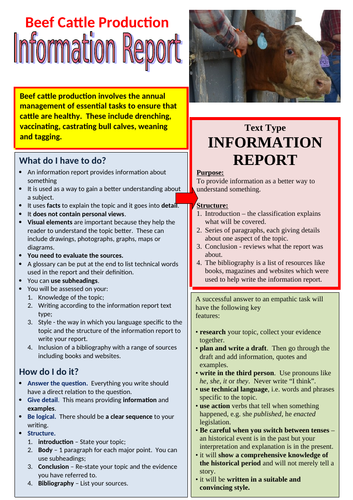 Information report - Beef cattle production