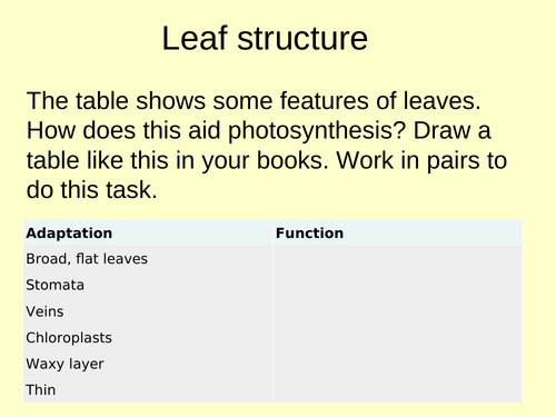 Testing Leaf for Starch (9-1) GCSE AQA