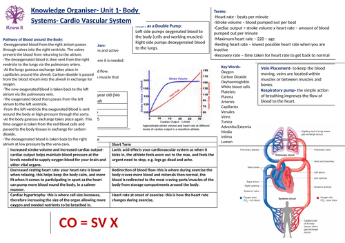 Cambridge Technicals Sport Studies Unit - Body Systems, Knowledge Organisers