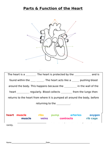 SEN Heart labelling and function gap task + extension.