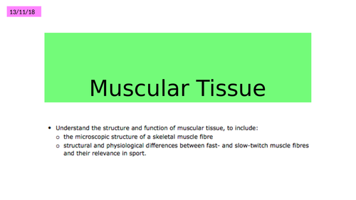 Muscular Tissue