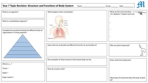 Year 7 Activate B2 Topic Revision Grid: Structure and Function of Body Systems