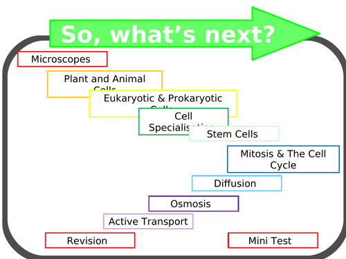Microscopes