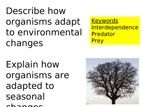 Interdependence and Predator-Prey (KS3)