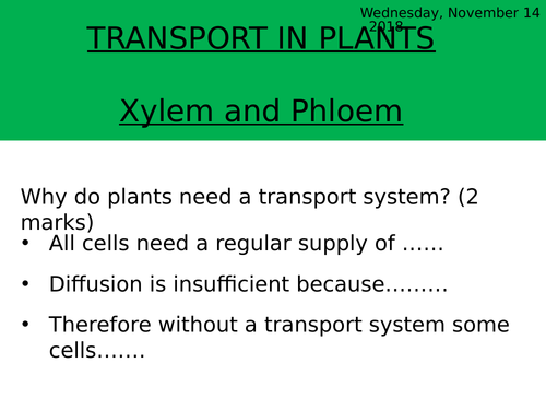 Structure and Function of Xylem and Phloem