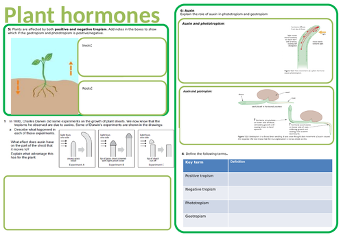 GCSE Plant responses required practical