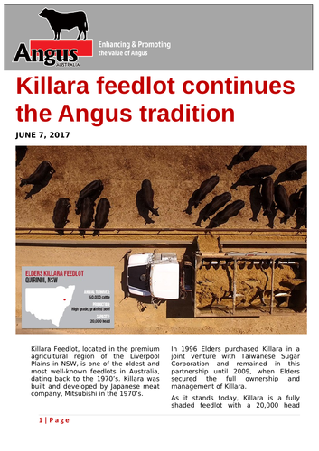 Ezine article: Killara feedlot continues the Angus tradition