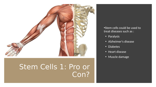 Stem Cells info sheets