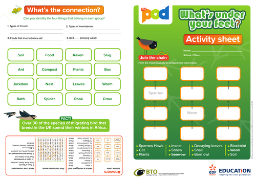Activity sheet for whats under your feet over 8 | Teaching Resources