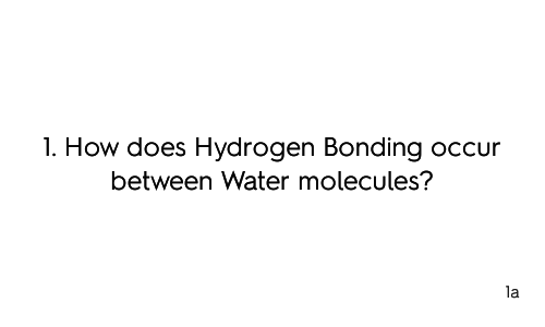 2.1.2 Biological Molecules