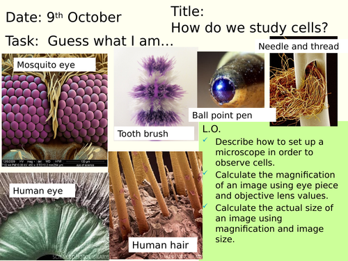 KS3 Microscopes- name the parts and how to use, plus microscope