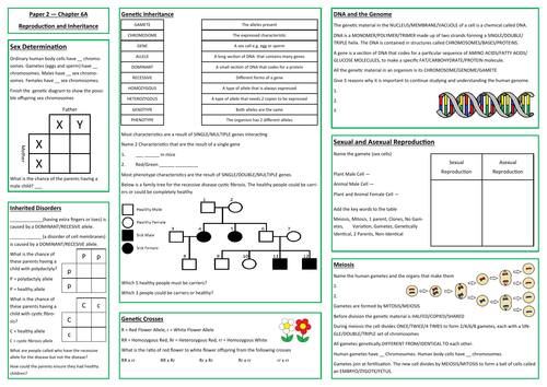 Reproduction and Inheritance Revision Placemat