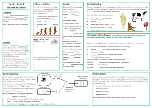 Variation and Evolution Revision Placemat
