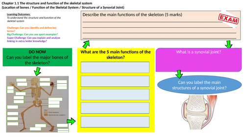 OCR GCSE PE (9-1) Flipped Learning Mats - Section 1 Applied Anatomy & Physiology