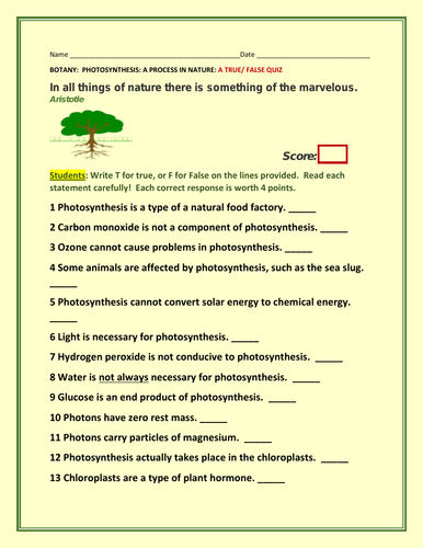 PHOTOSYNTHESIS: A TRUE/ FALSE / BOTANY QUIZ